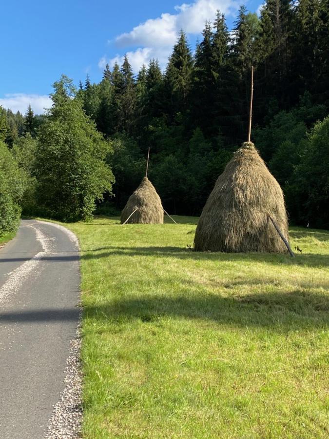 Drevenica Polomka, 5 Min Peso Restauracia, Ticha Ulica, Potok Villa Brezno Eksteriør billede