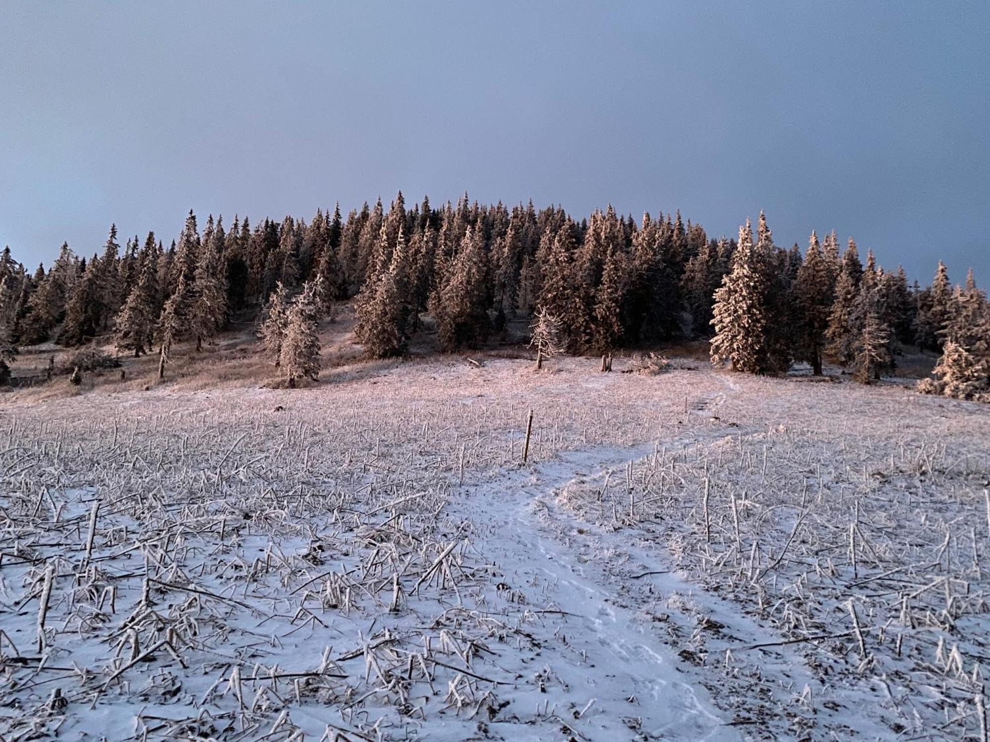 Drevenica Polomka, 20 Min To 5 Ski Resorts Brezno Eksteriør billede